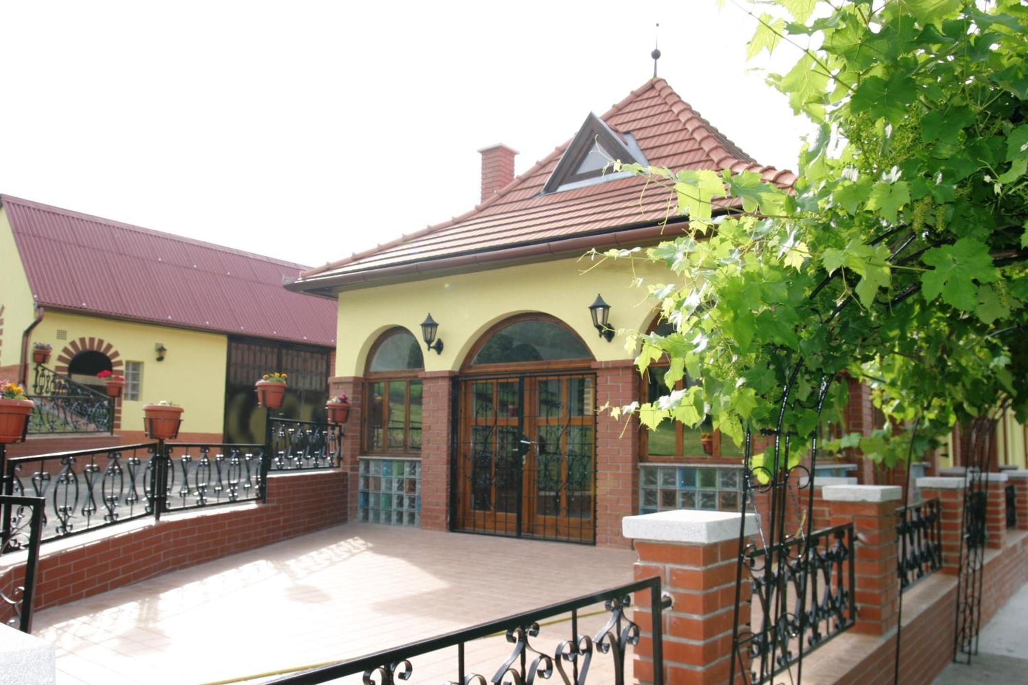 Villa Teleki Bagian luar foto