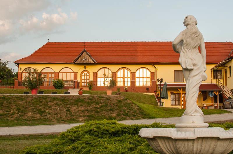 Villa Teleki Bagian luar foto