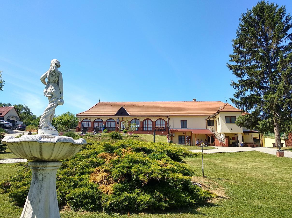 Villa Teleki Bagian luar foto