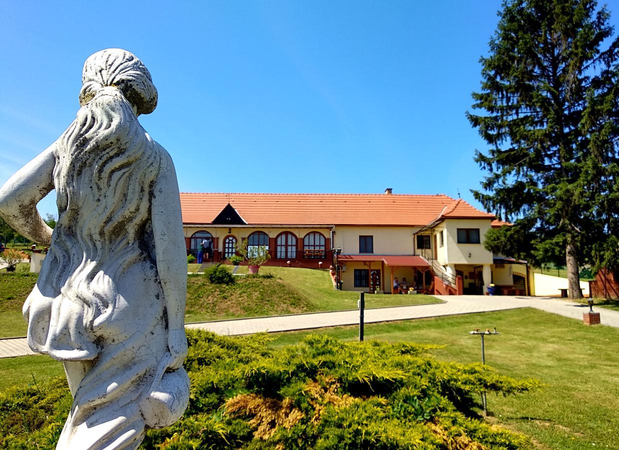 Villa Teleki Bagian luar foto
