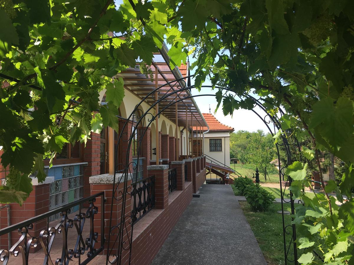 Villa Teleki Bagian luar foto