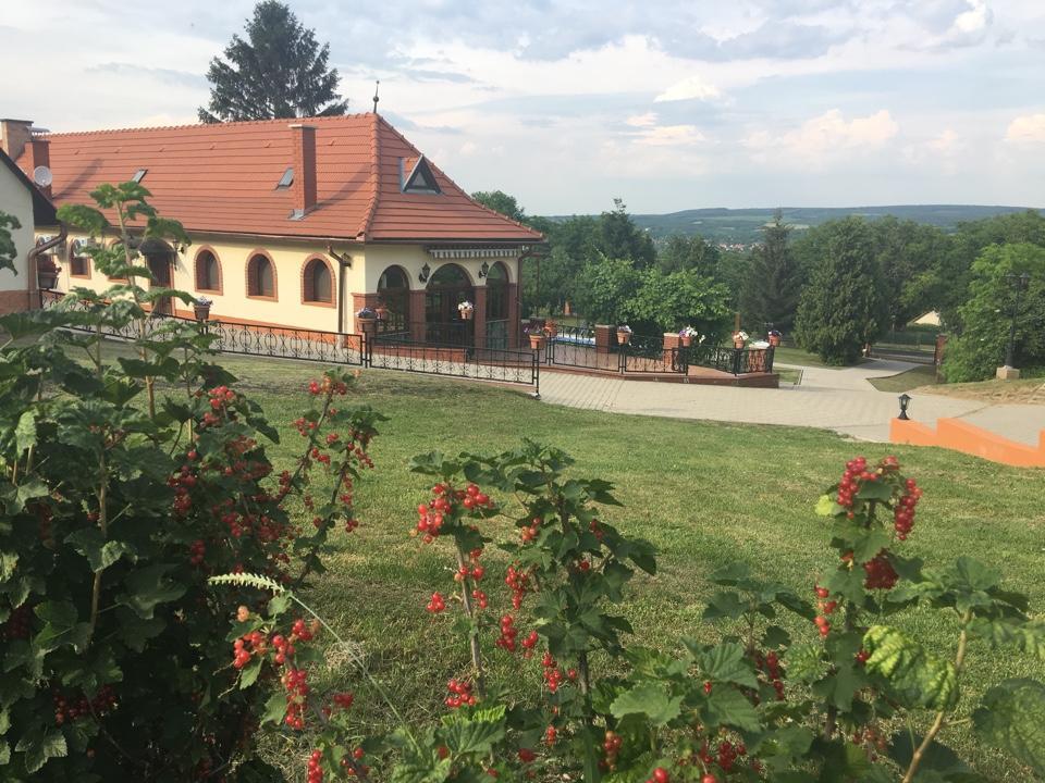 Villa Teleki Bagian luar foto